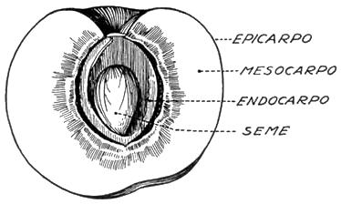 b05